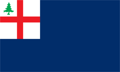 Bunker Hill Blue Flag