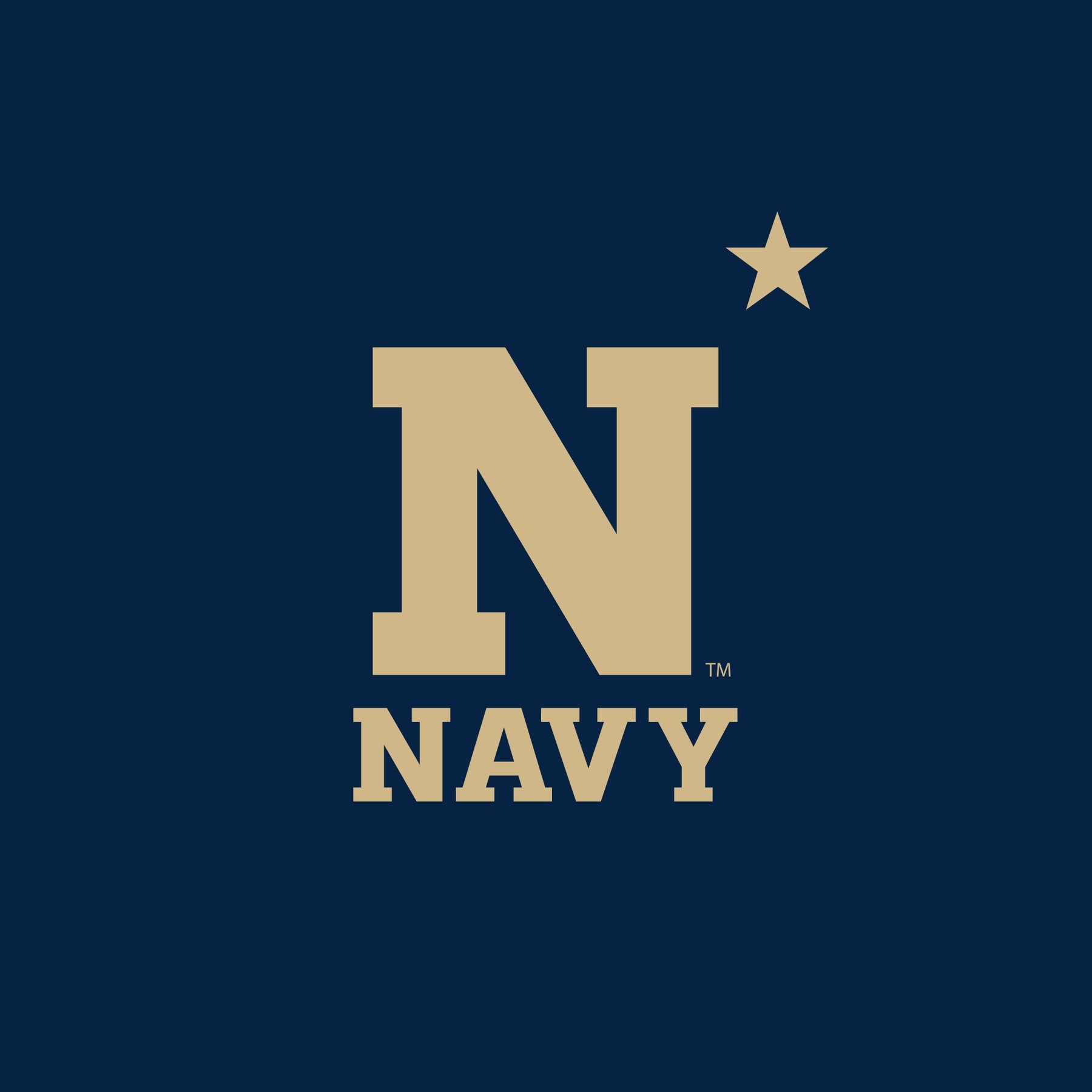 3' x 5' US Navy Logo, H & G, Nylon Flag